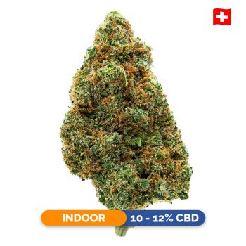 Fleurs CBD - Blueberry Indoor