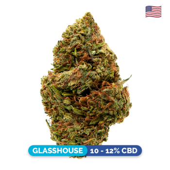 Fleurs CBD - Lemonade