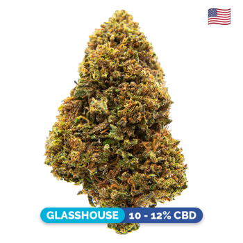 Fleurs CBD - Headbanger Kush