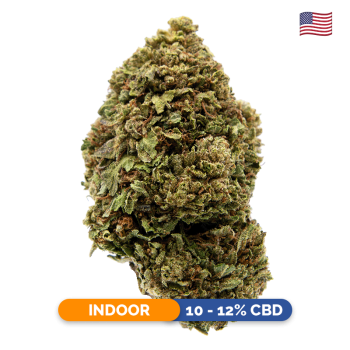 Fleurs CBD - Platinium OG
