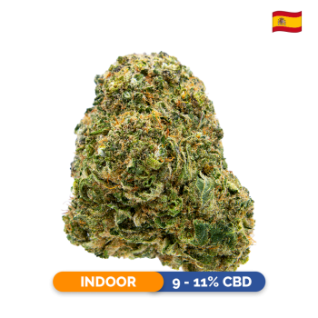 Fleurs CBD - Blue Diesel