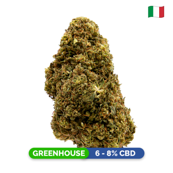 Fleurs CBD - Tropical Haze