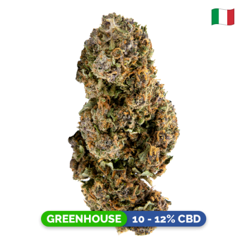 Fleurs CBD - Black Mamba -...