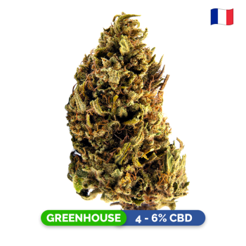 Fleurs CBD - Sour Diesel...