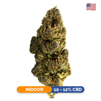 Fleurs CBD - Tropical Punch...